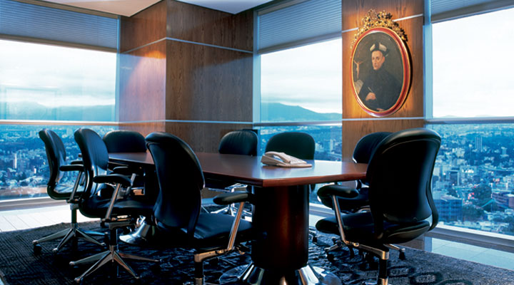 Cuéllar Salas y Cuéllar Steffan | Lawyers